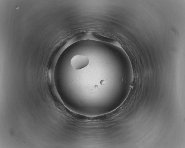 X0000111870556200907231515