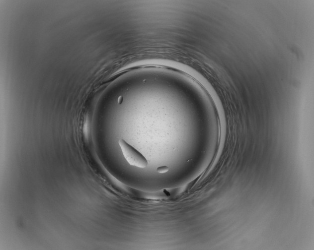 X0000111870558200907231515