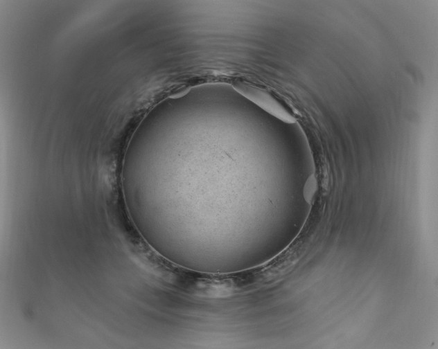 X0000111870559200907231515
