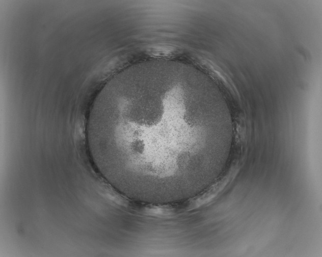 X0000111870561200907231515