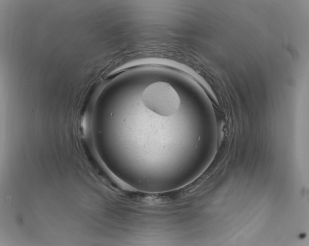 X0000111870562200907231515