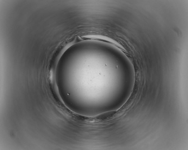 X0000111870564200907231515