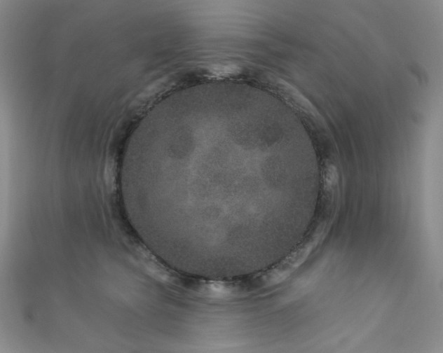 X0000111870565200907231515