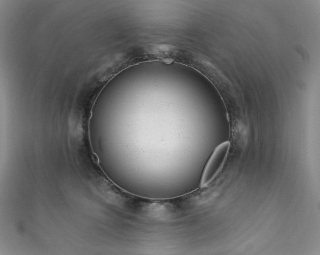 X0000111870566200907231515