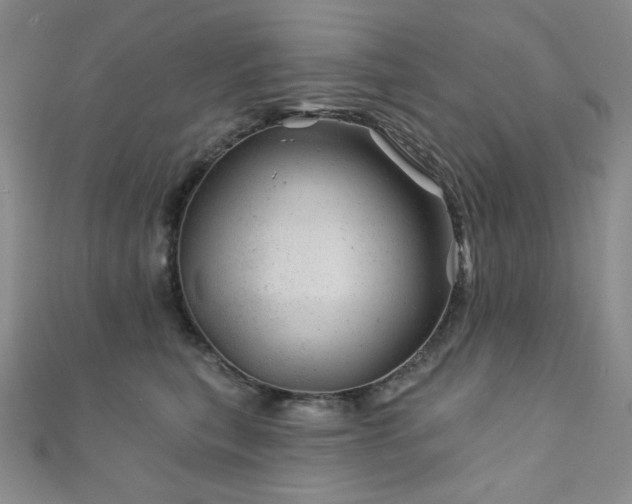 X0000111870567200907231515