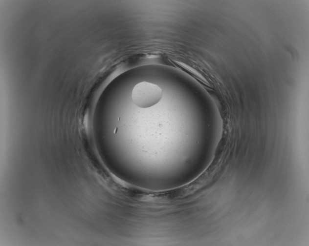 X0000111870568200907231515