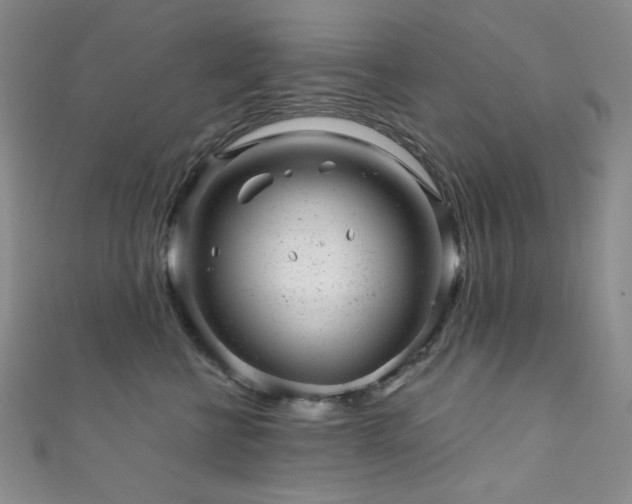 X0000111870570200907231515