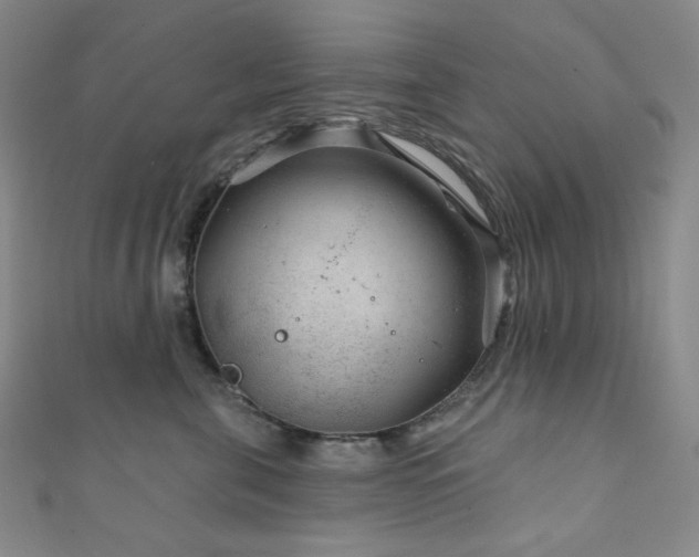 X0000111870571200907231515