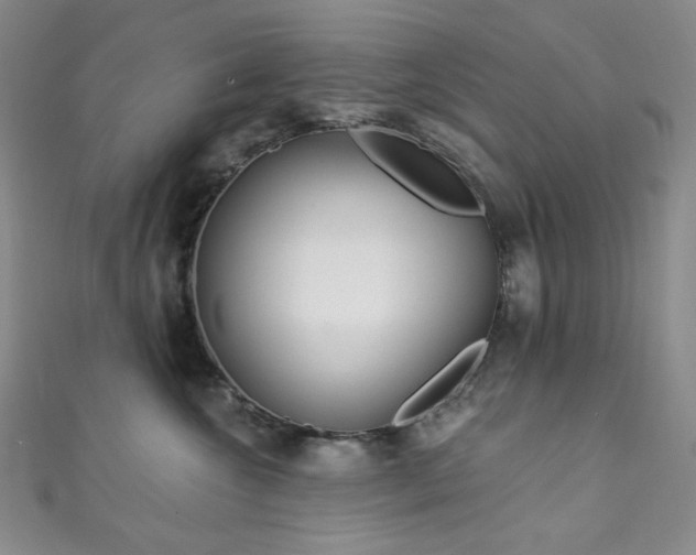 X0000111870572200907231515