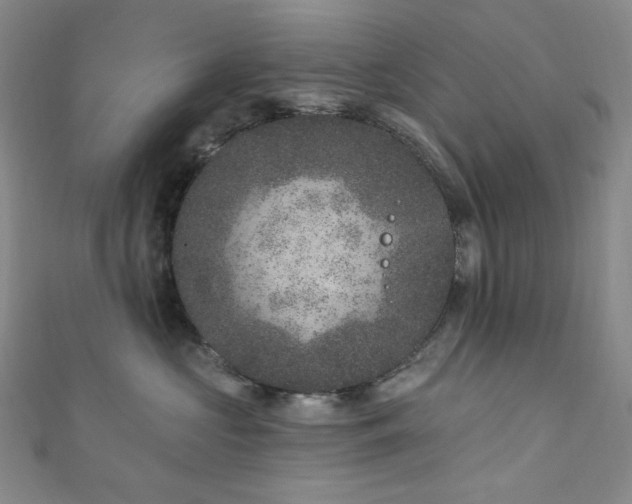 X0000111870573200907231515