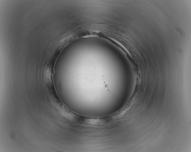 X0000111870575200907231515