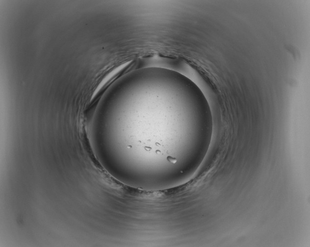 X0000111870576200907231515