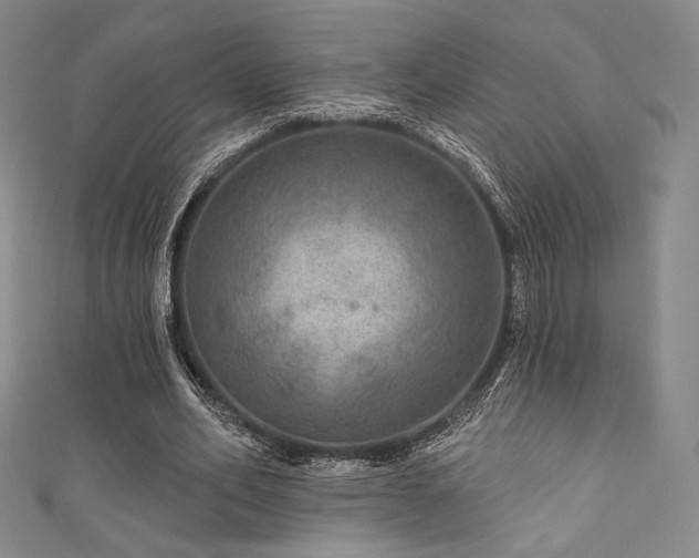 X0000111870582200907231514