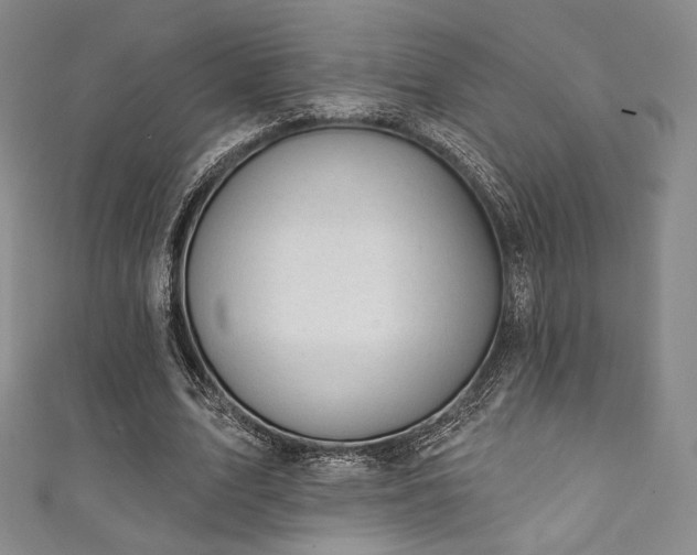 X0000111870583200907231514