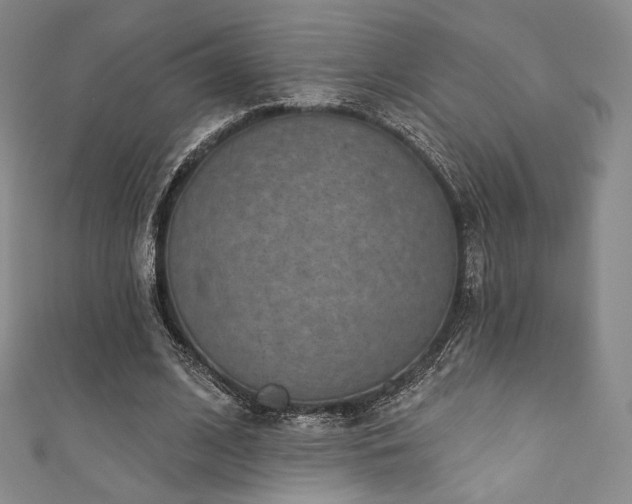 X0000111870584200907231514