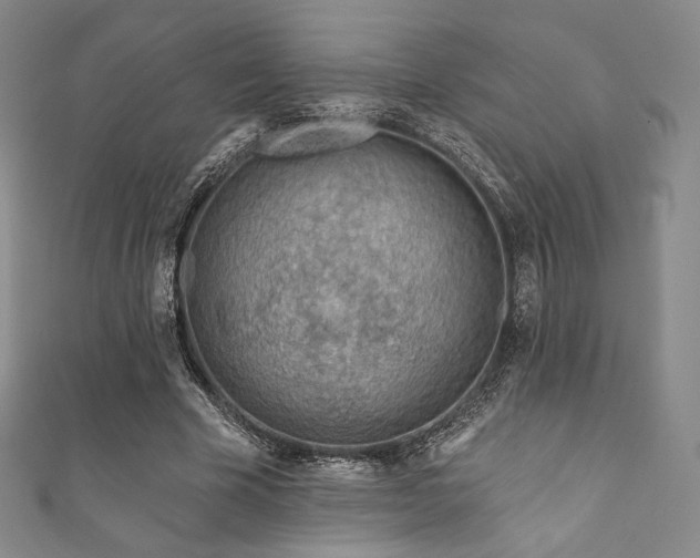 X0000111870585200907231514