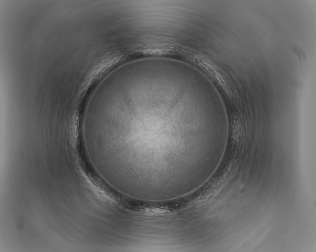 X0000111870586200907231514
