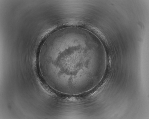 X0000111870588200907231514