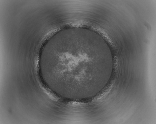 X0000111870590200907231514