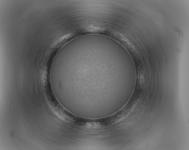 X0000111870591200907231514