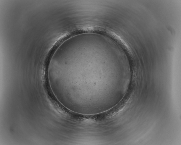 X0000111870592200907231514
