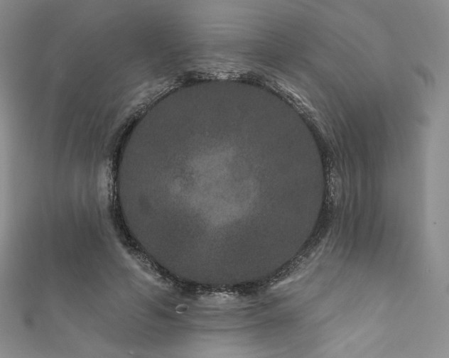 X0000111870594200907231514