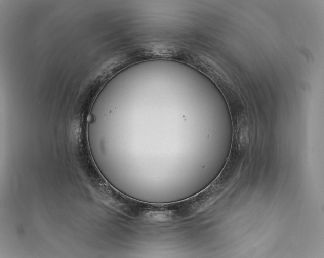 X0000111870595200907231514
