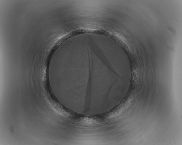 X0000111870596200907231514