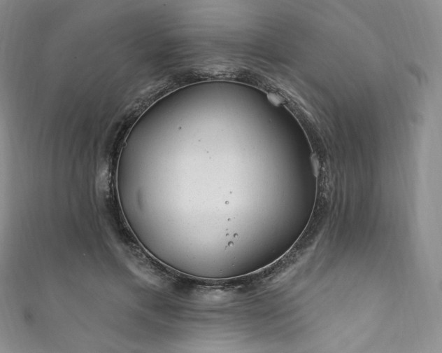 X0000111870597200907231514