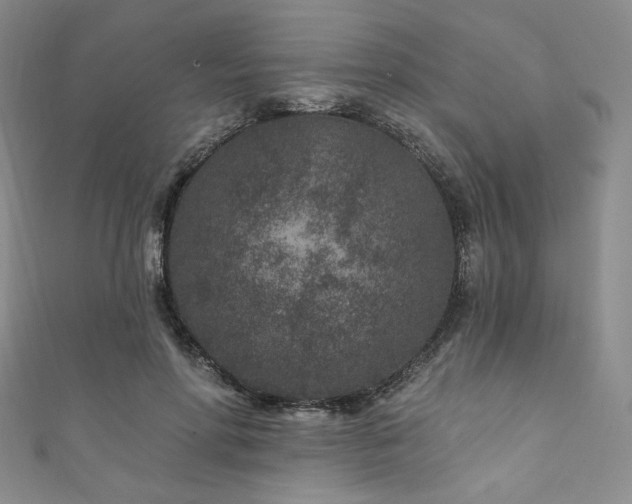 X0000111870598200907231514