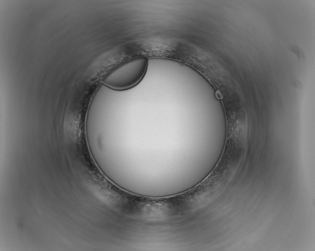 X0000111870599200907231514