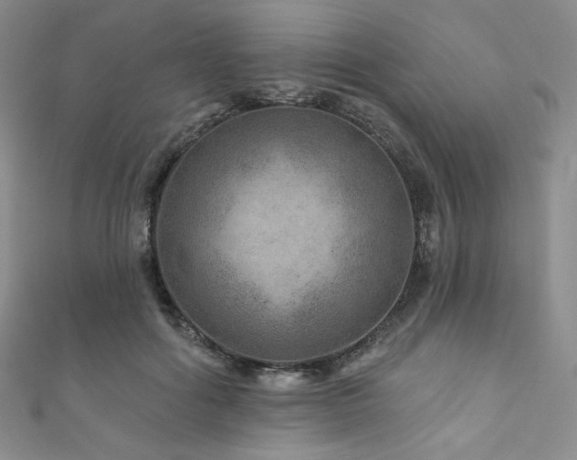X0000111870602200907231514
