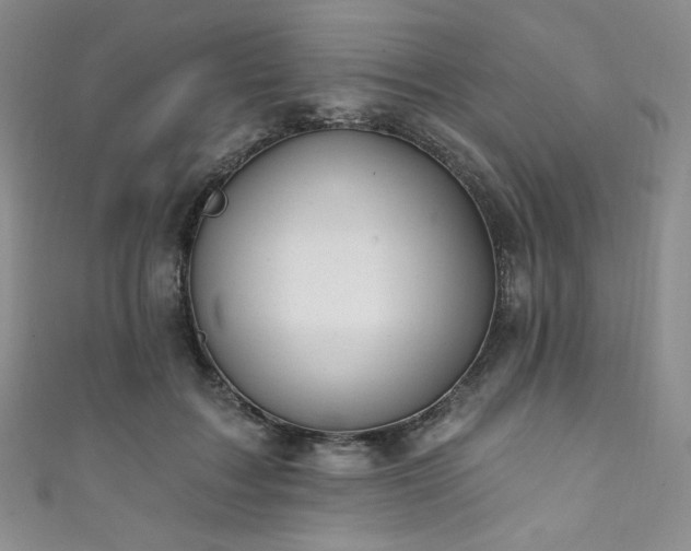 X0000111870603200907231514