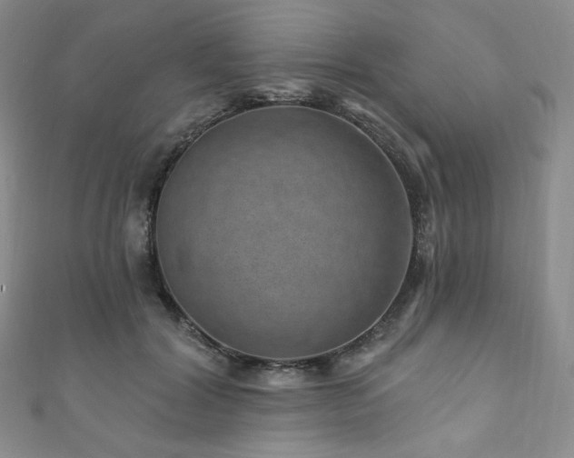 X0000111870604200907231514