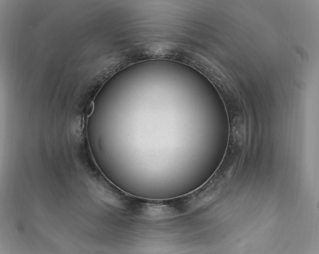 X0000111870605200907231514