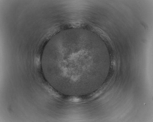 X0000111870610200907231514