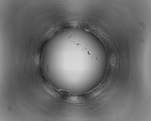 X0000111870611200907231514