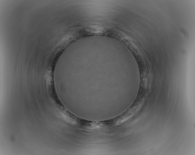 X0000111870612200907231514