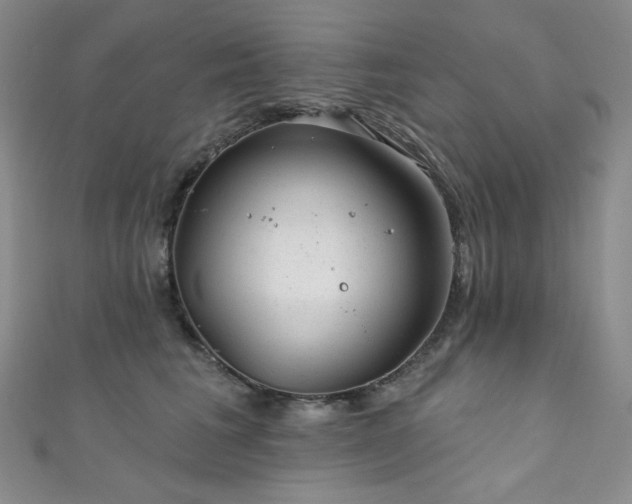 X0000111870613200907231514