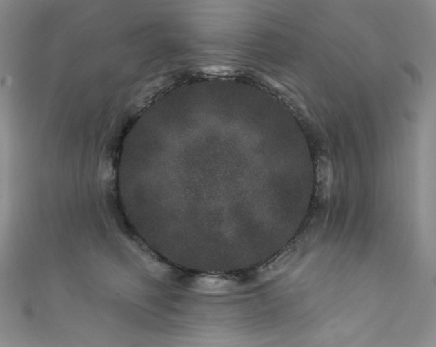 X0000111870614200907231514