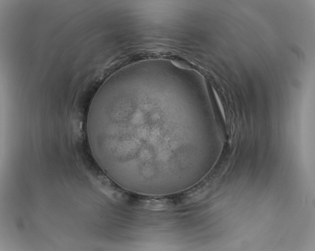 X0000111870615200907231514