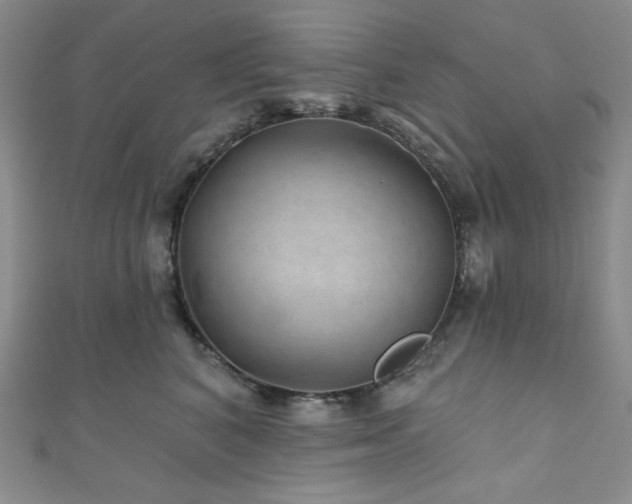 X0000111870616200907231514