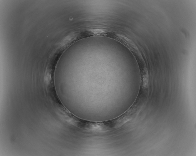 X0000111870618200907231514