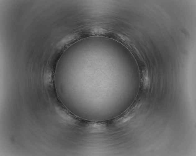 X0000111870619200907231514