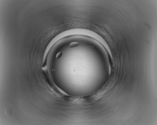 X0000111870621200907231514