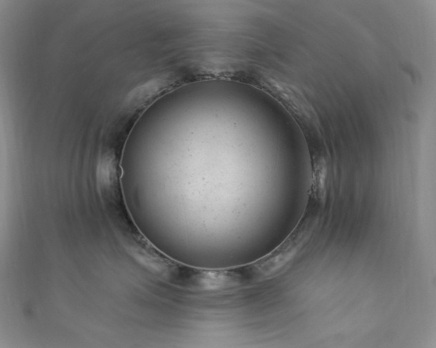 X0000111870623200907231514