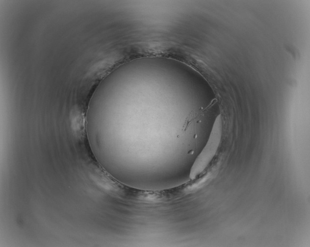 X0000111870624200907231514
