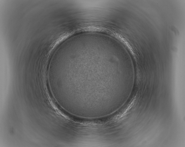 X0000111870625200907231513