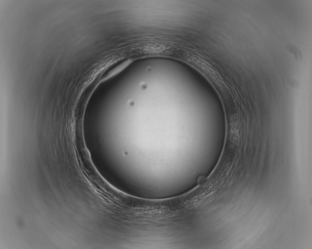 X0000111870626200907231513