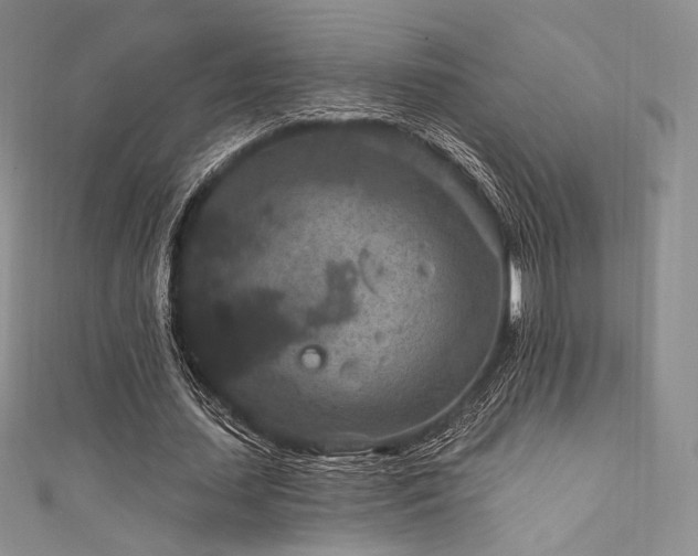 X0000111870627200907231513